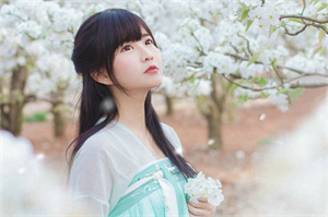 上海花千坊：上海对邻国外交政策的影响